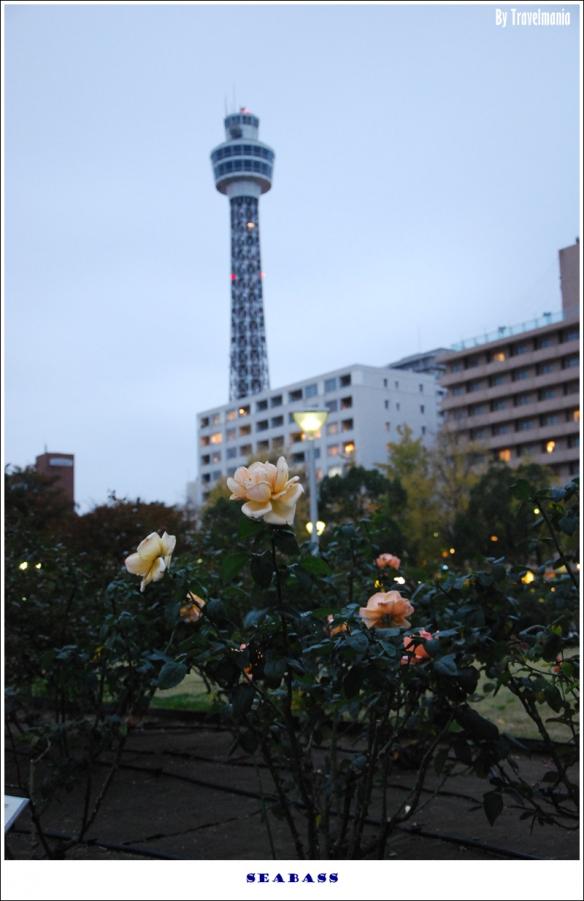 DSC_0379_re.JPG