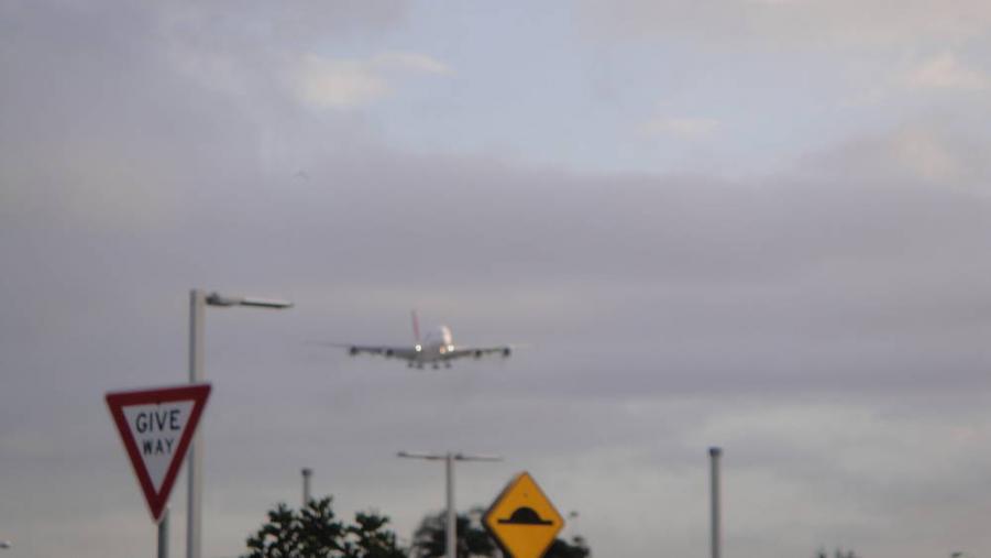 rsz_dsc03113.jpg