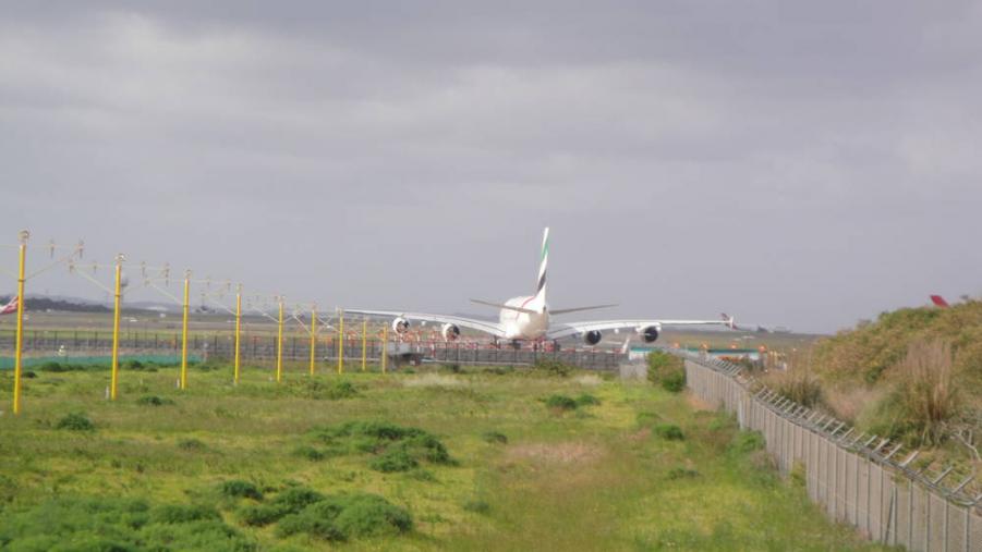 rsz_dsc03179.jpg
