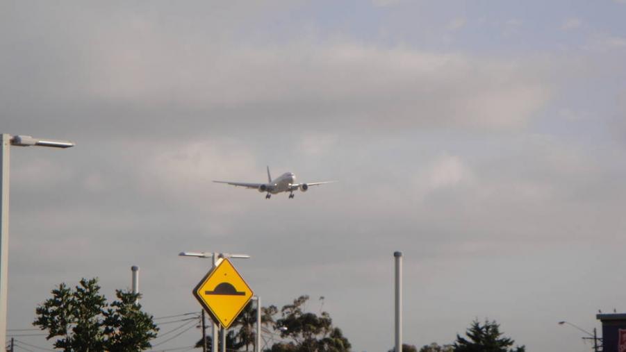 rsz_dsc03145.jpg