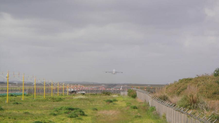 rsz_dsc03181.jpg