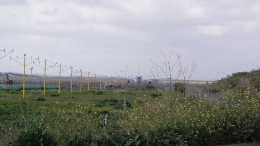 rsz_dsc03176.jpg