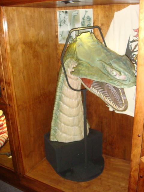 DSC00784.JPG