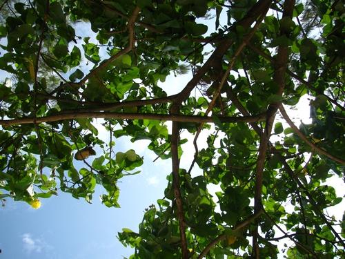 tn_IMG_5051.jpg