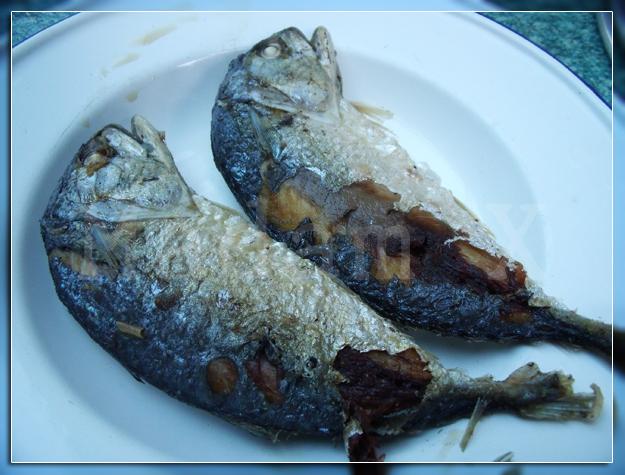 DSCF9216.jpg