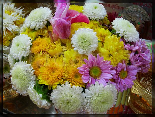 DSCN1023.jpg