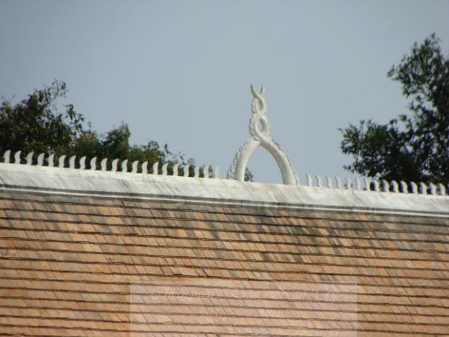 resizeDSC06619.jpg
