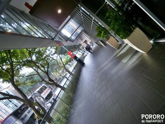 20091111-PB110009.JPG