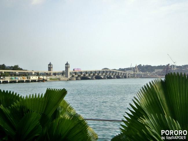 20091111-PB110087.JPG