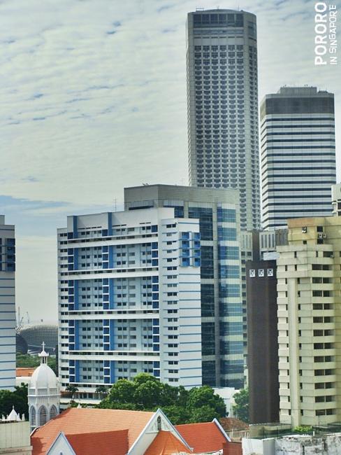 20091124-DSC02741.JPG