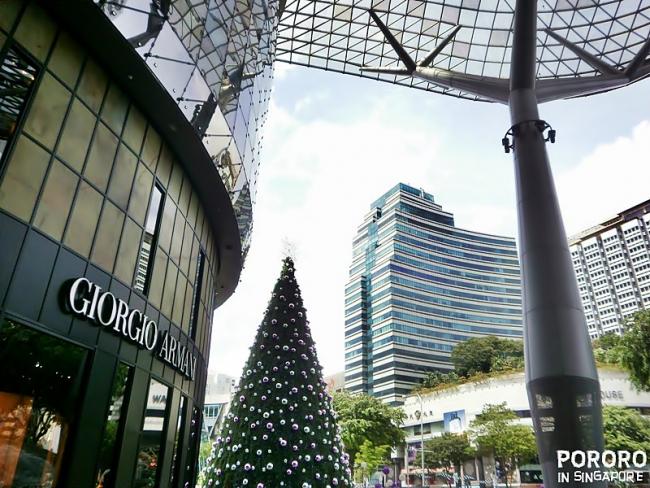 20091124-20091124-PB240945.JPG