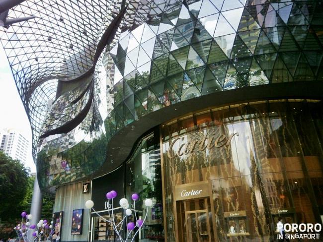 20091124-20091124-PB240950.JPG