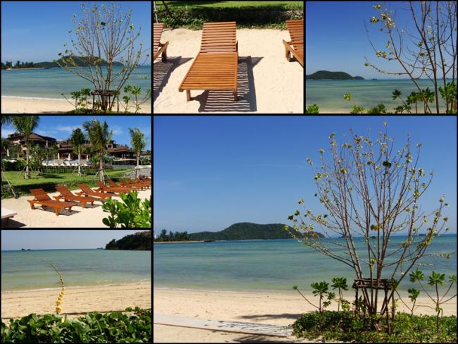 beach003.jpg