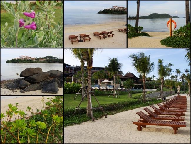 beach004.jpg