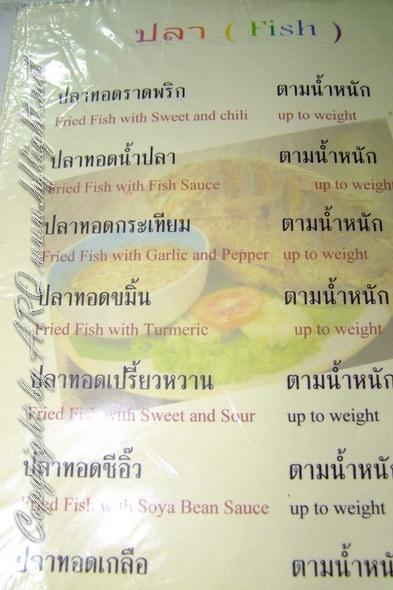 06.JPG