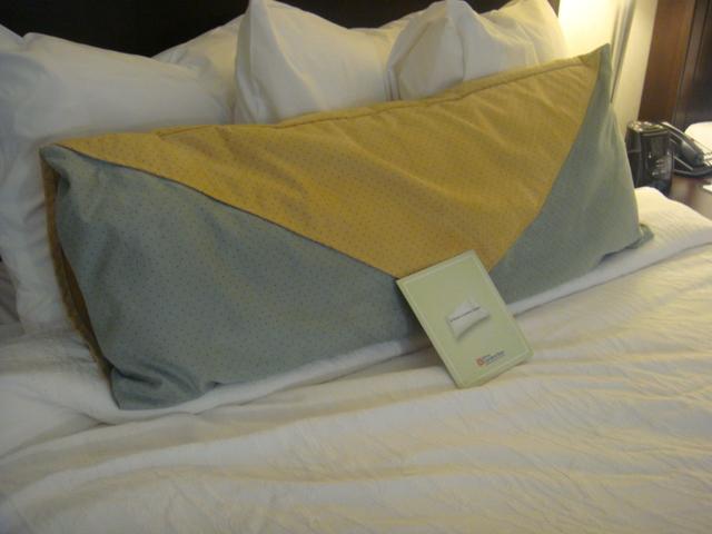 dsc00362l.jpg