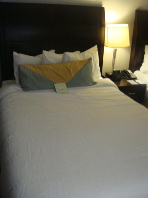 dsc00371mt.jpg
