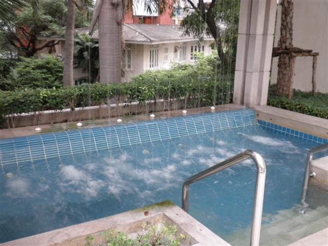 P8120522 (Small).JPG