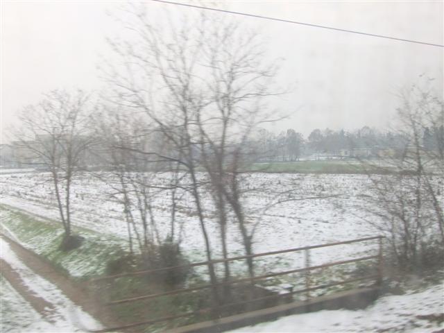 DSCF2538 (Small).JPG