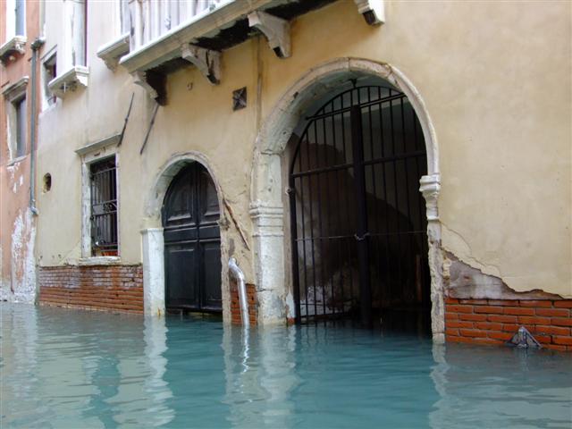 DSCF3771 (Small).JPG
