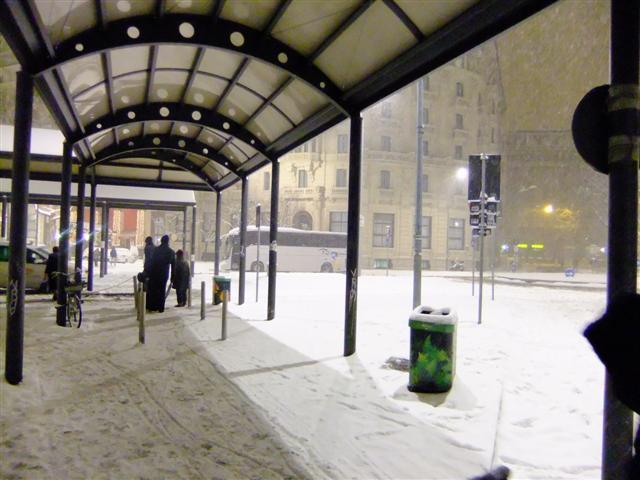 DSCF4212 (Small).JPG
