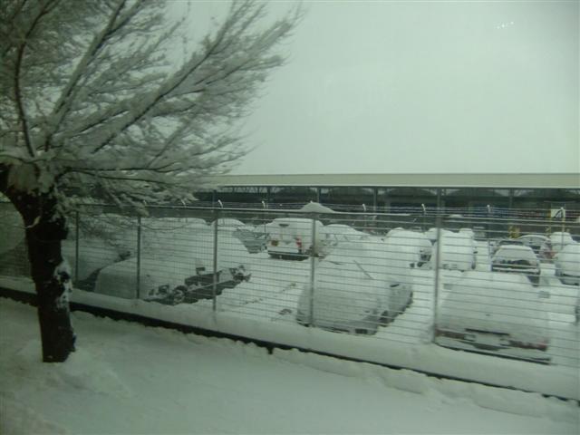 DSCF4452 (Small).JPG
