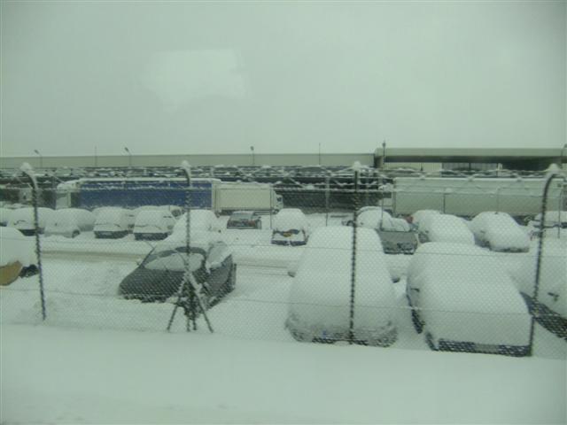 DSCF4453 (Small).JPG