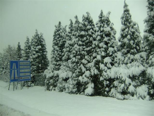 DSCF4455 (Small).JPG