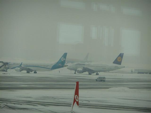 DSCF4522 (Small).JPG