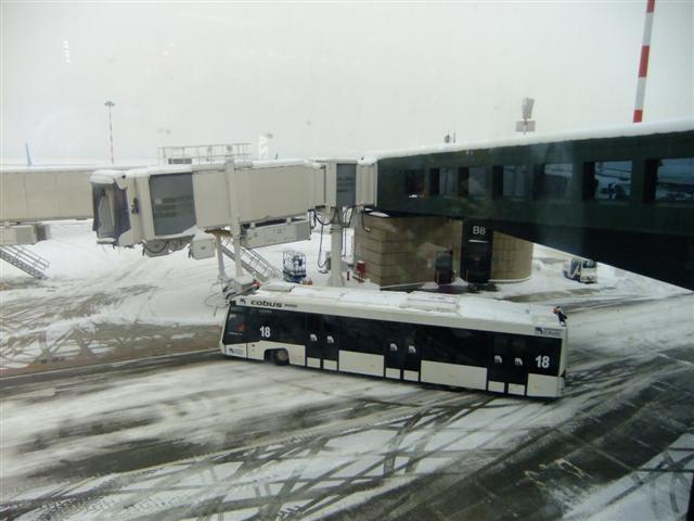 DSCF4525 (Small).JPG