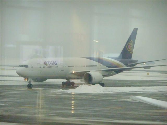 DSCF4559 (Small).JPG