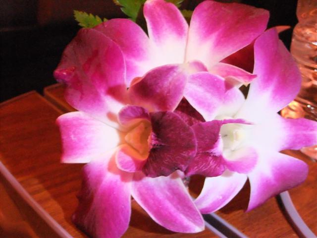 DSCF1861 (Small).JPG
