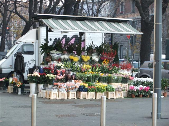 DSCF2147 (Small).JPG