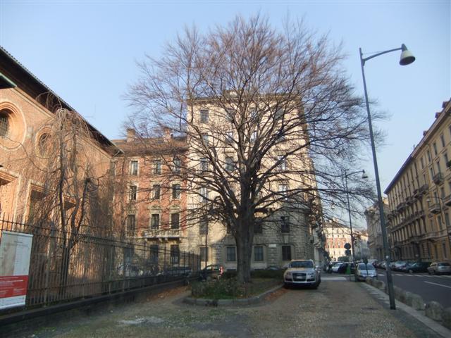 DSCF2197 (Small).JPG