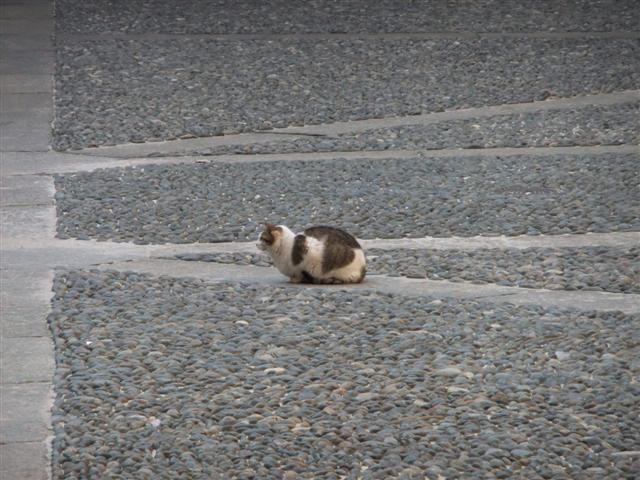 DSCF2251 (Small).JPG
