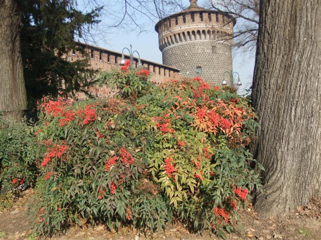 DSCF2271 (Small).JPG