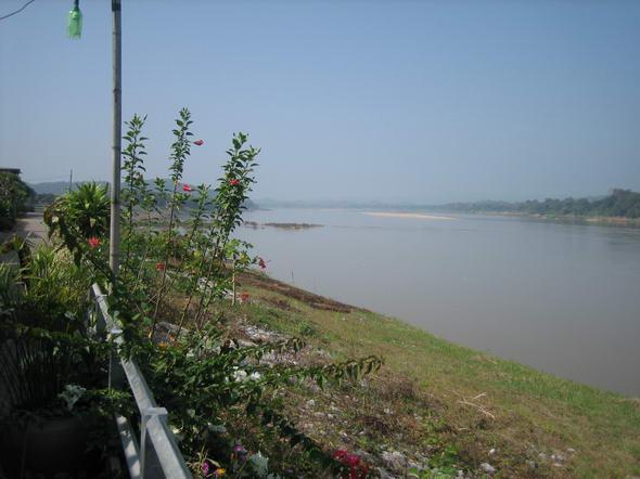 79.JPG