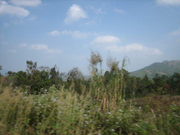 87.JPG