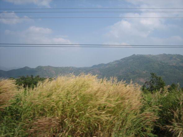 85.JPG