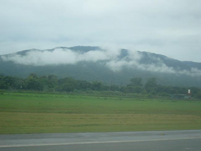 P1120287_resize.JPG