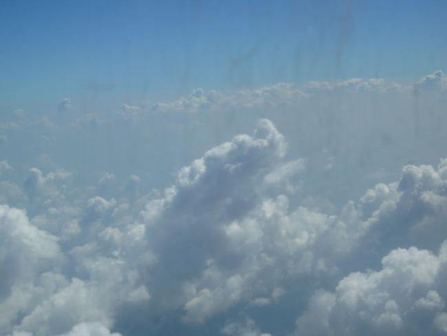 P1120313_resize.JPG