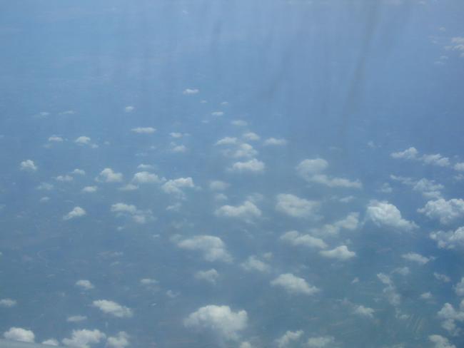 P1120319_resize.JPG