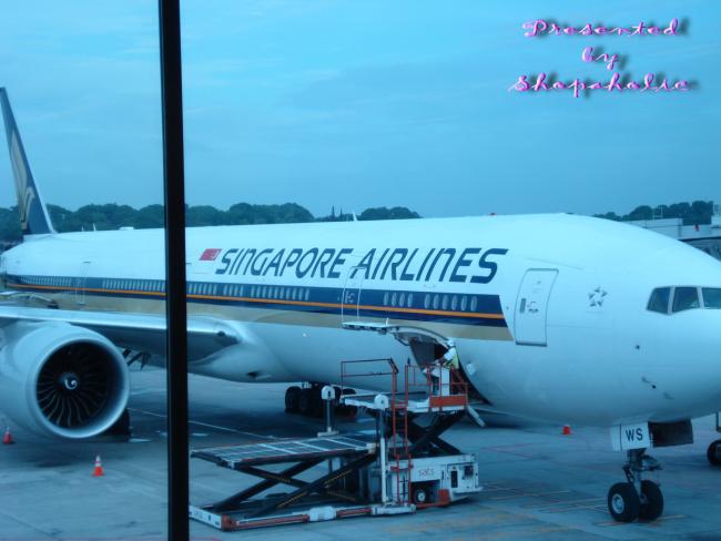 DSC00787_resize.jpg