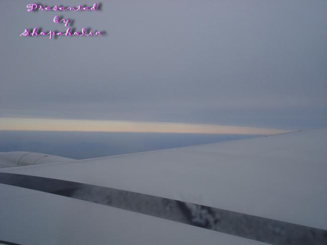DSC00819_resize.jpg