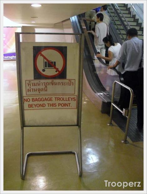 95.jpg