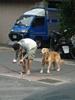 DSC05609.JPG