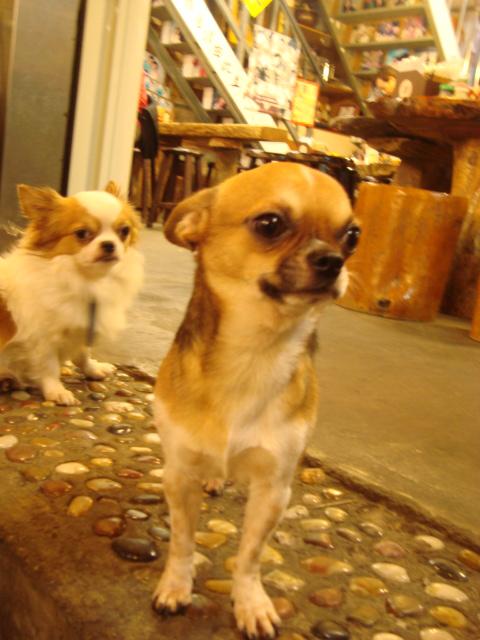 DSC06081.JPG