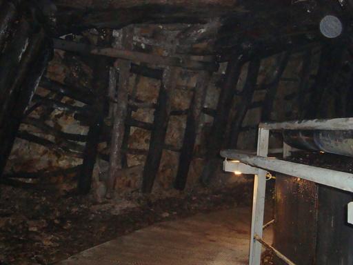 DSC05814.jpg