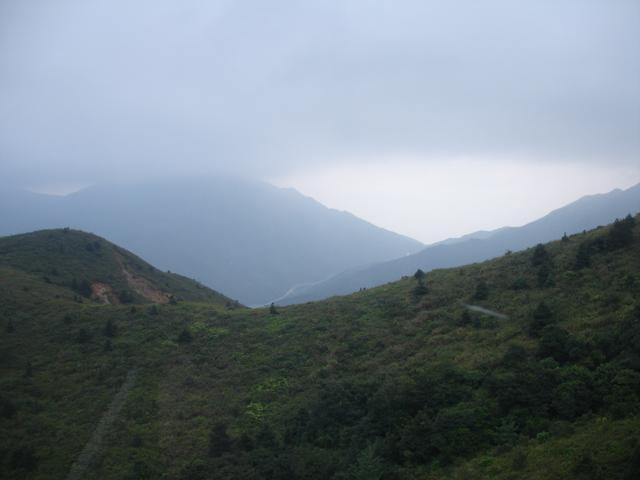 DSC00216.jpg
