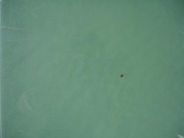 DSC00201.jpg